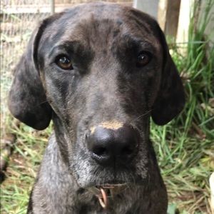 Meet your Posher, Leah